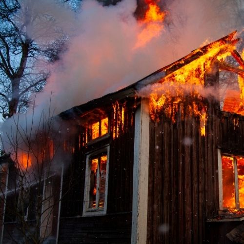 Als het misgaat: wat gebeurt er met dieren bij rampen en incidenten? 