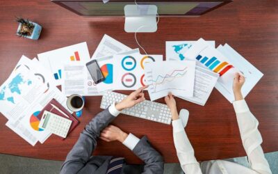 Hoe financier je dierenhulporganisaties? Een gids voor gemeenten