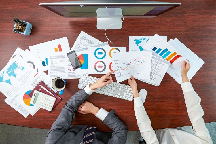 Hoe financier je dierenhulporganisaties? Een gids voor gemeenten 