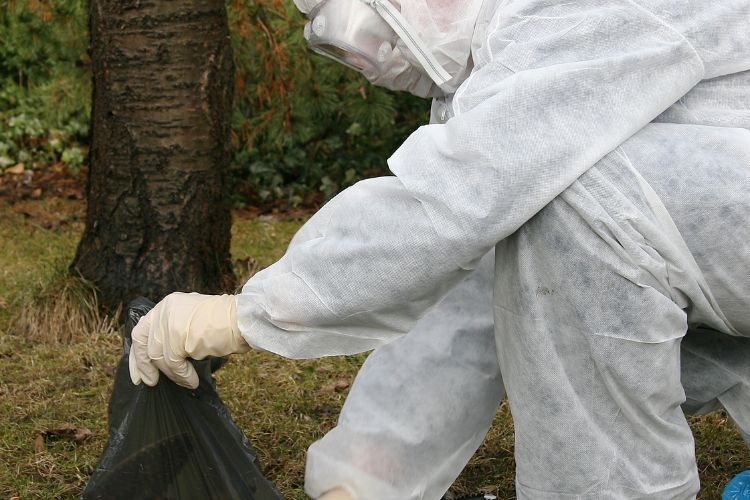 Meldplicht bij dierziekten: wie doet wat, en wat als het je overkomt?