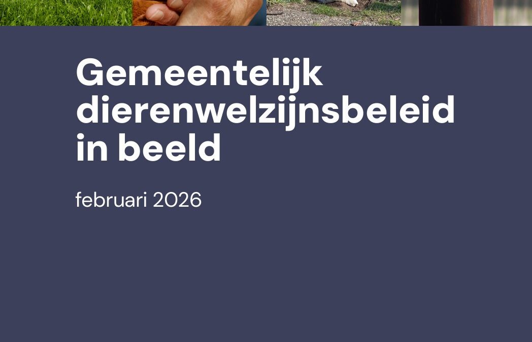 Wat doet jouw gemeente eigenlijk voor dieren?