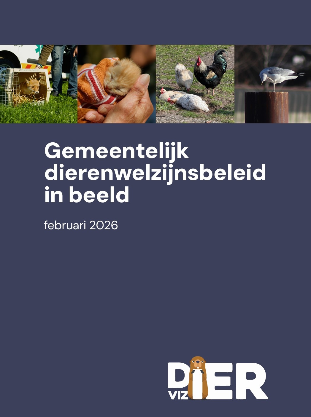Wat doet jouw gemeente eigenlijk voor dieren?