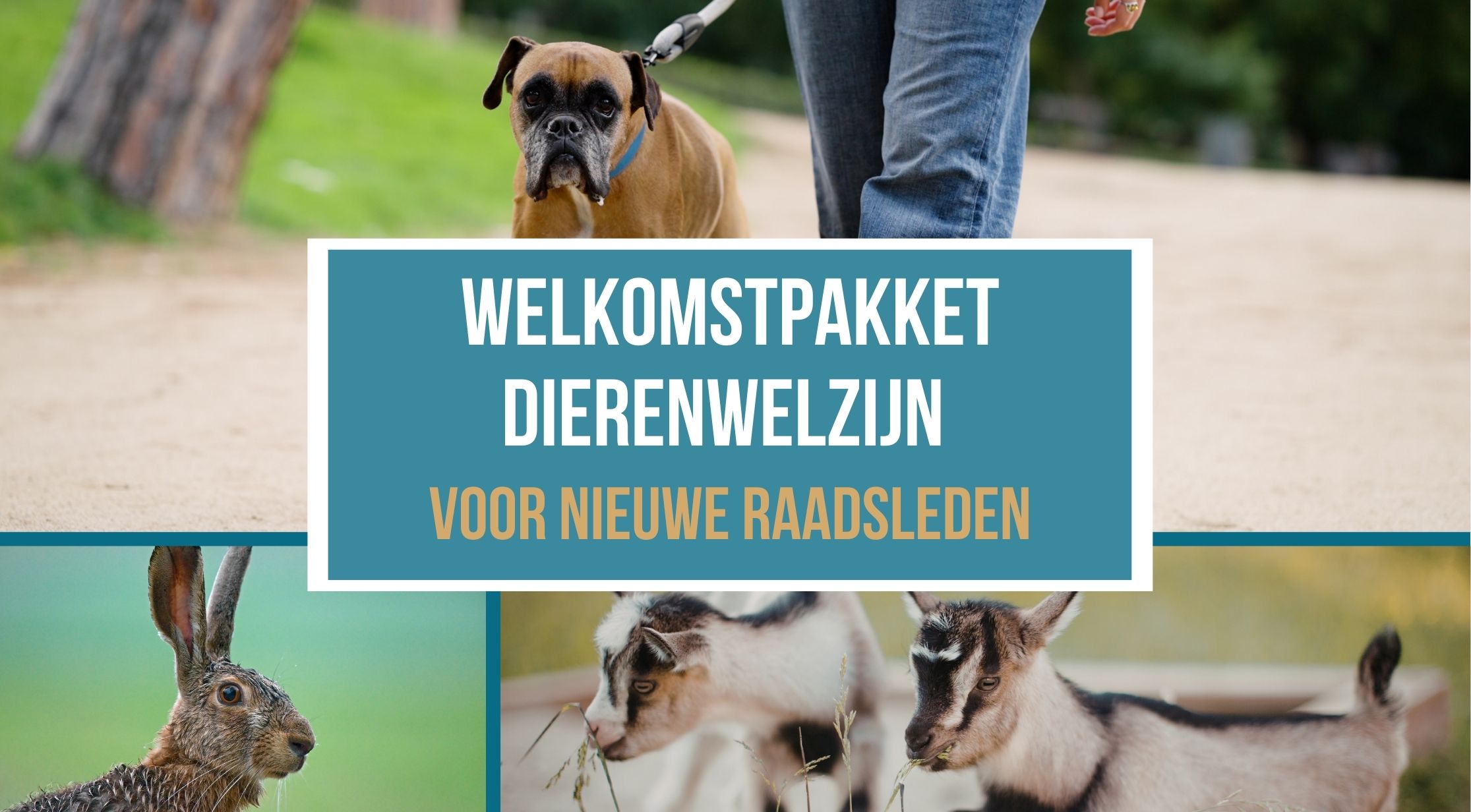Vakopleiding Dieradviseur (2)