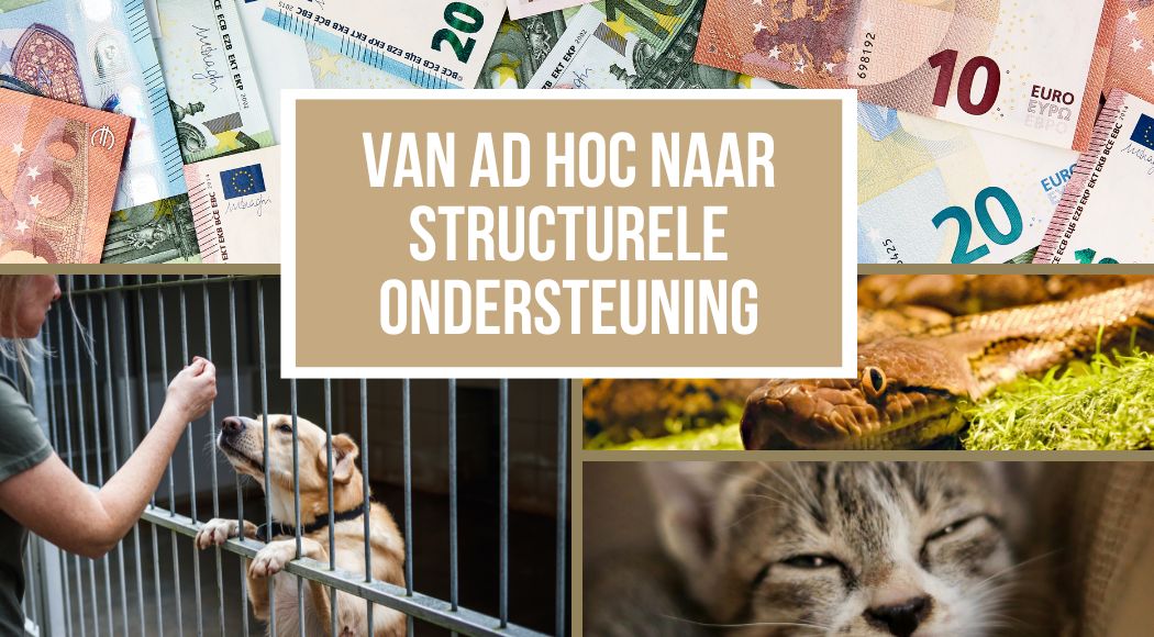 Vakopleiding Dieradviseur (4)