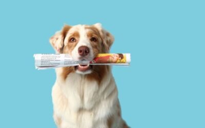 Van jaarplan tot jaarverslag